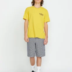 Freestone 22" Short - DEEP BLUE -Volcom Store A0912400 DPB 3