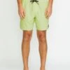 Center Trunk 17" Boardshort - MIST GREEN -Volcom Store A2532404 MGN F