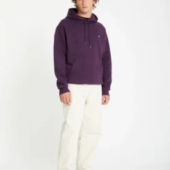 Single Stone Hoodie - GRAPE ROYALE -Volcom Store A4112514 GPR 6