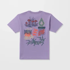 Stone Matter T-Shirt - Purple Ash 15 Stone Matter T-Shirt - Purple Ash -Volcom Store A5032502 PPA 33