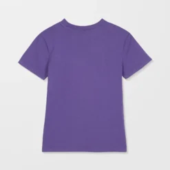 Solid Stone Emb T-Shirt - Acai -Volcom Store B3512204 ACI 33