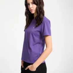 Solid Stone Emb T-Shirt - Acai -Volcom Store B3512204 ACI 6