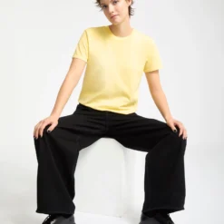 Solid Stone Emb T-Shirt - Dawn Yellow -Volcom Store B3512204 DNY 4